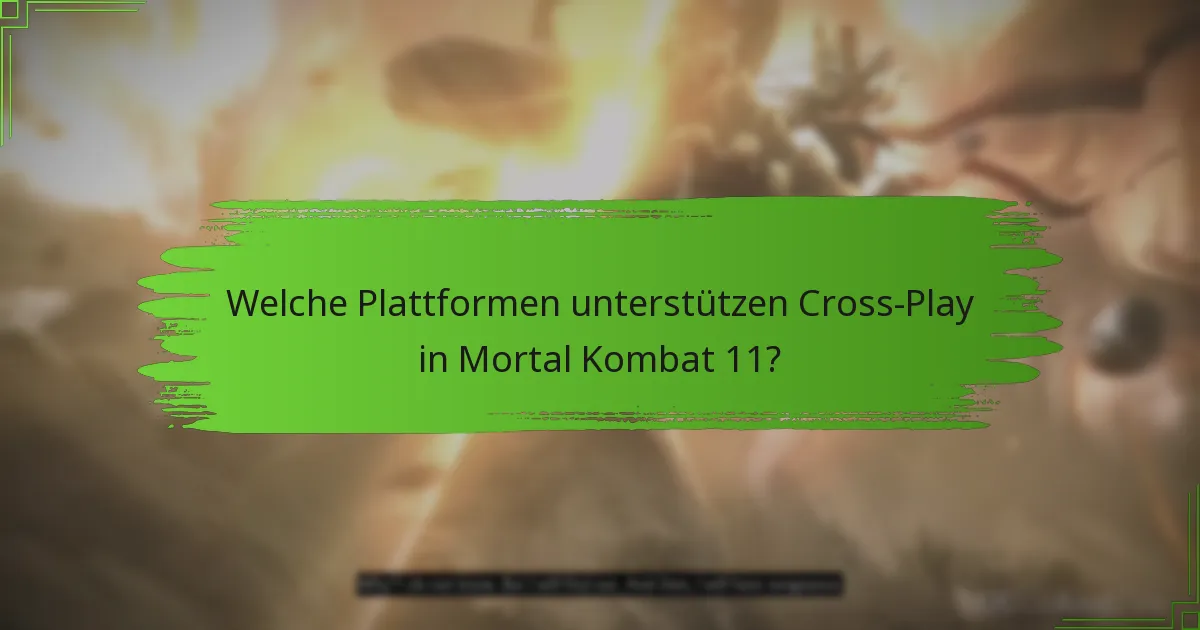 Welche Plattformen unterstützen Cross-Play in Mortal Kombat 11?